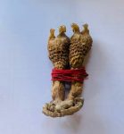 Siddha Hatha jodi